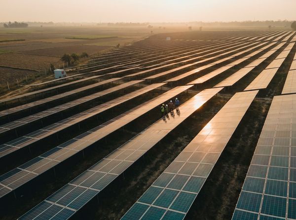 Solar farm at golden hour in Rajshahi, Bangladesh
